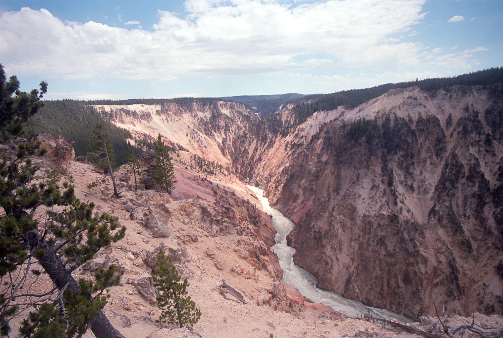 View Down the Canyon Away from the Lower Falls   Artist Point, Yellowstone National Park