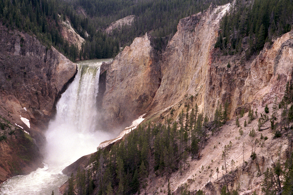 Lower Falls   Yellowstone National Park