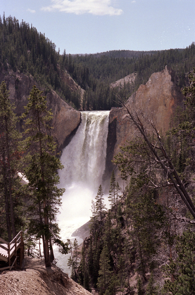 Lower Falls   Yellowstone National Park
