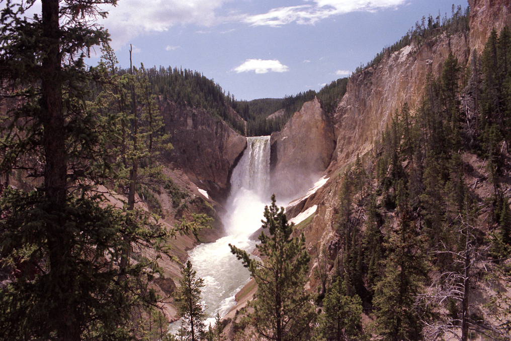 Lower Falls   Yellowstone National Park