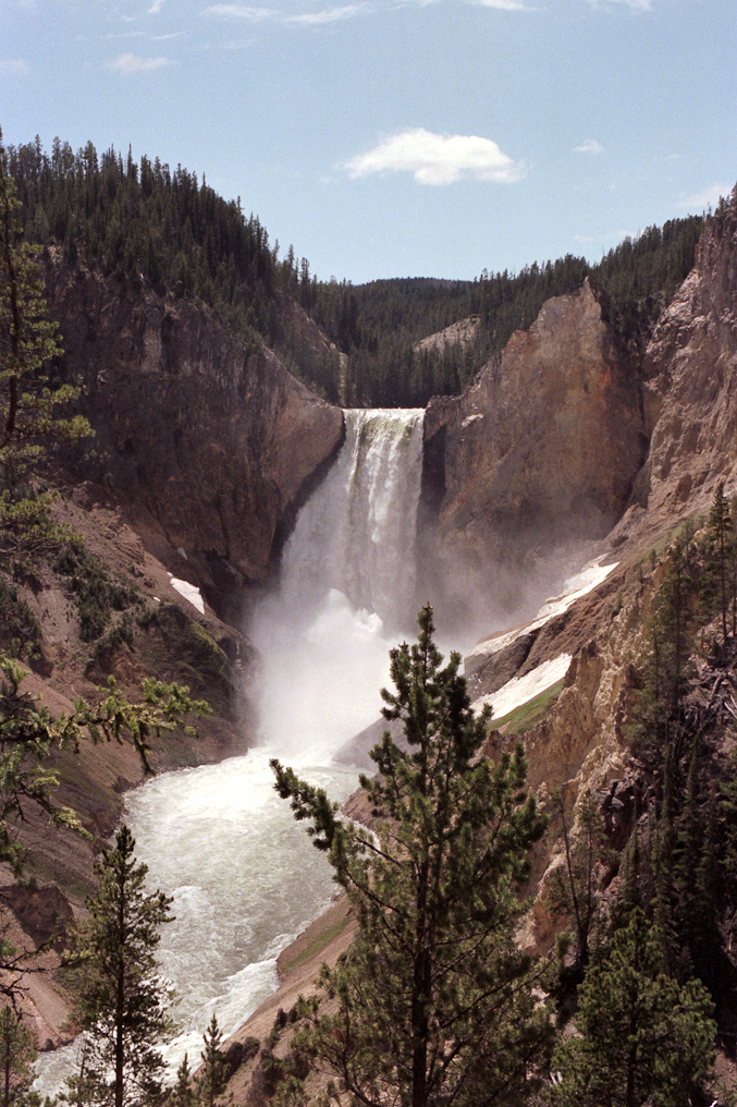 Lower Falls   Yellowstone National Park