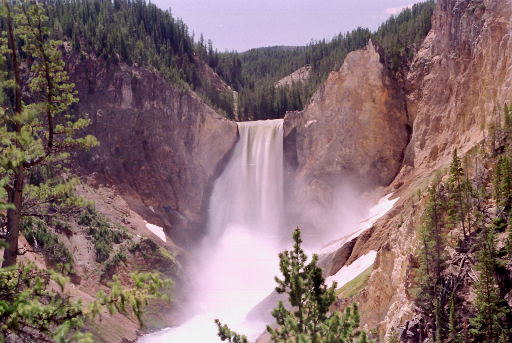 Lower Falls   Yellowstone National Park