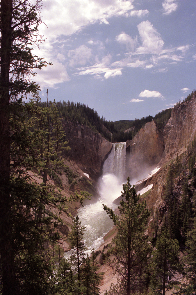 Lower Falls   Yellowstone National Park