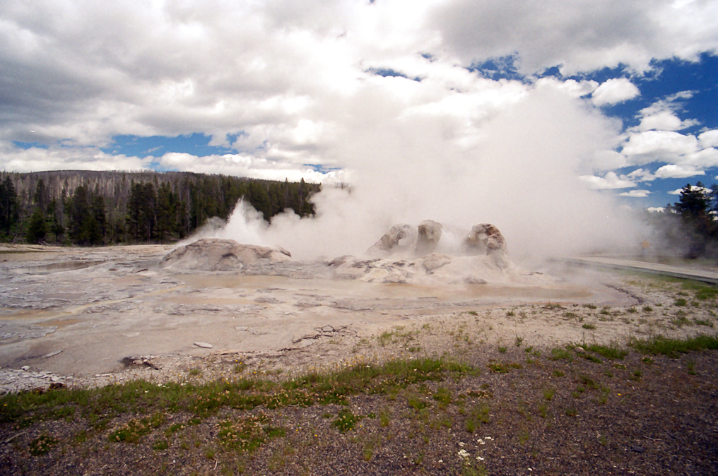 Grotto Geyser   Upper Geyser Basin, Yellowstone National Park