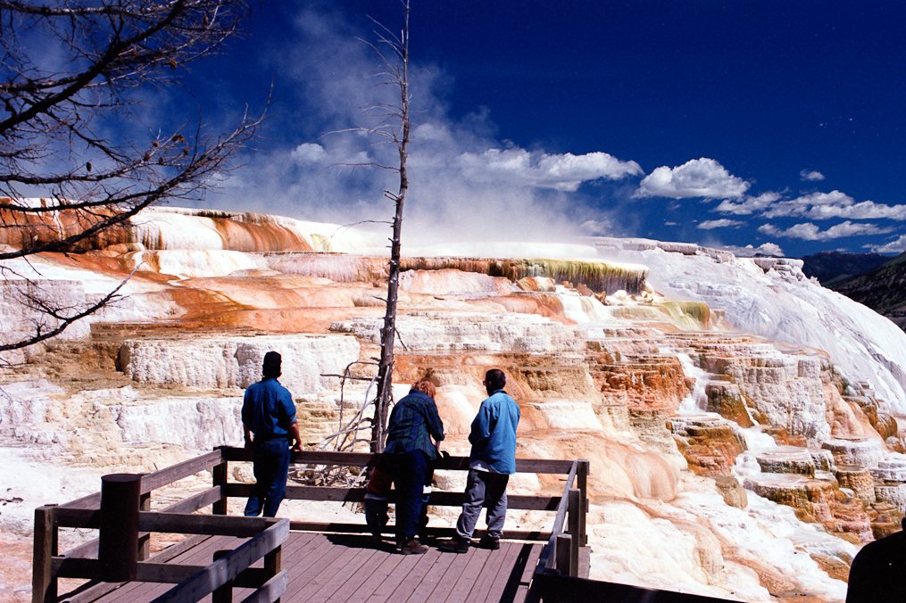    Mammoth Hot Springs Area, Yellowstone National Park