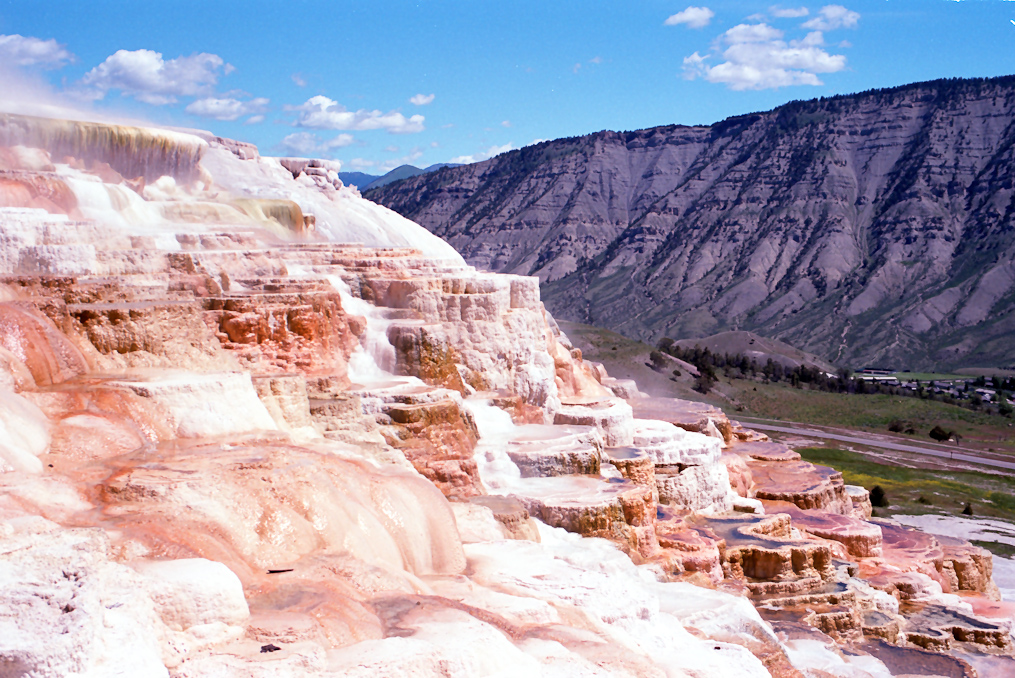    Mammoth Hot Springs Area, Yellowstone National Park