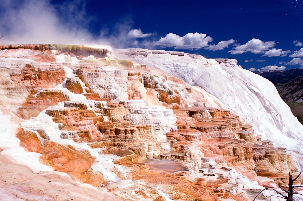    Mammoth Hot Springs Area, Yellowstone National Park