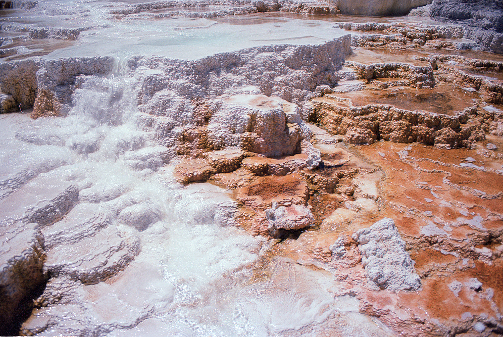    Mammoth Hot Springs Area, Yellowstone National Park