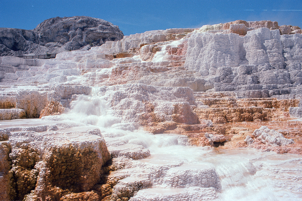    Mammoth Hot Springs Area, Yellowstone National Park