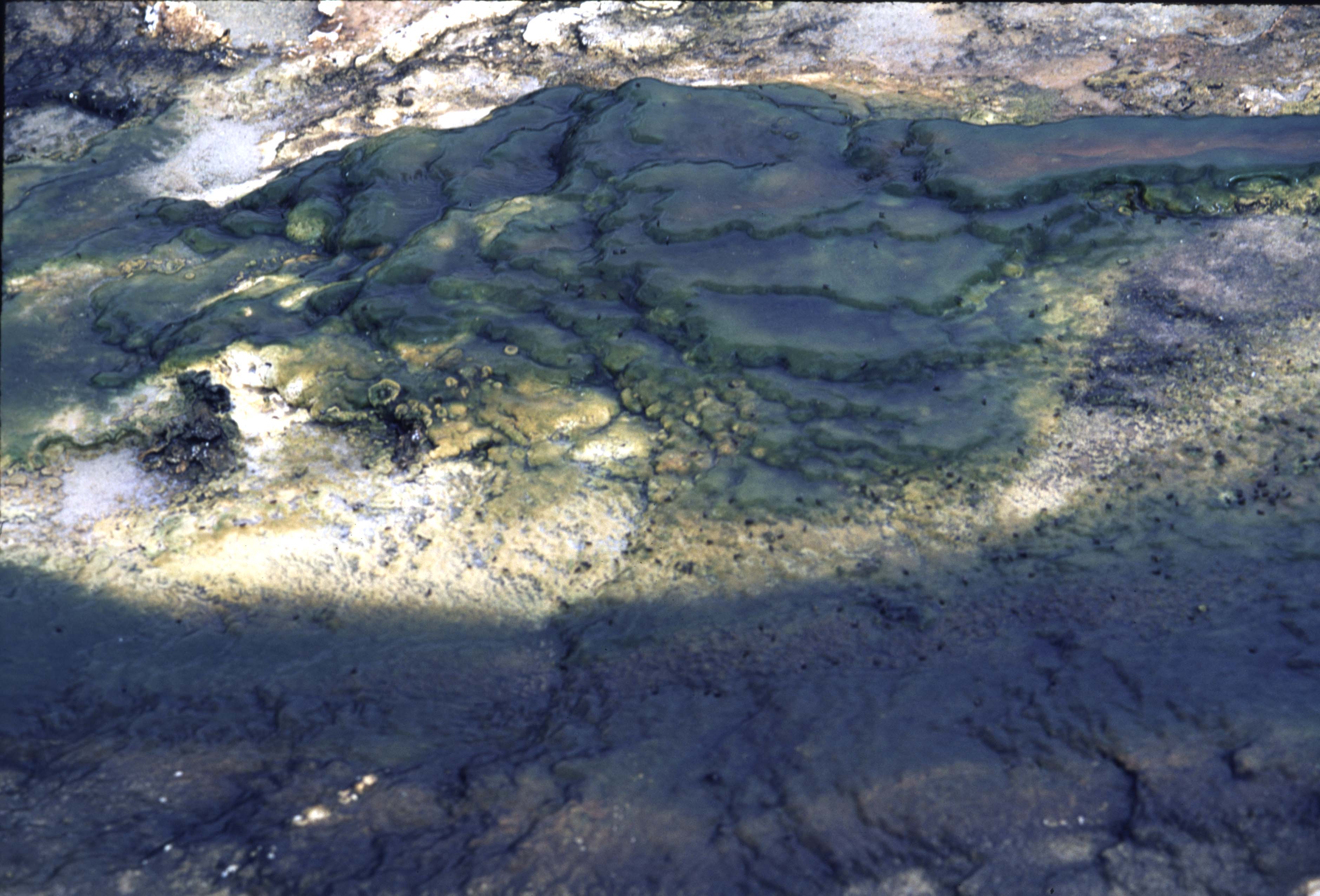 000614 I23 Upper Basin