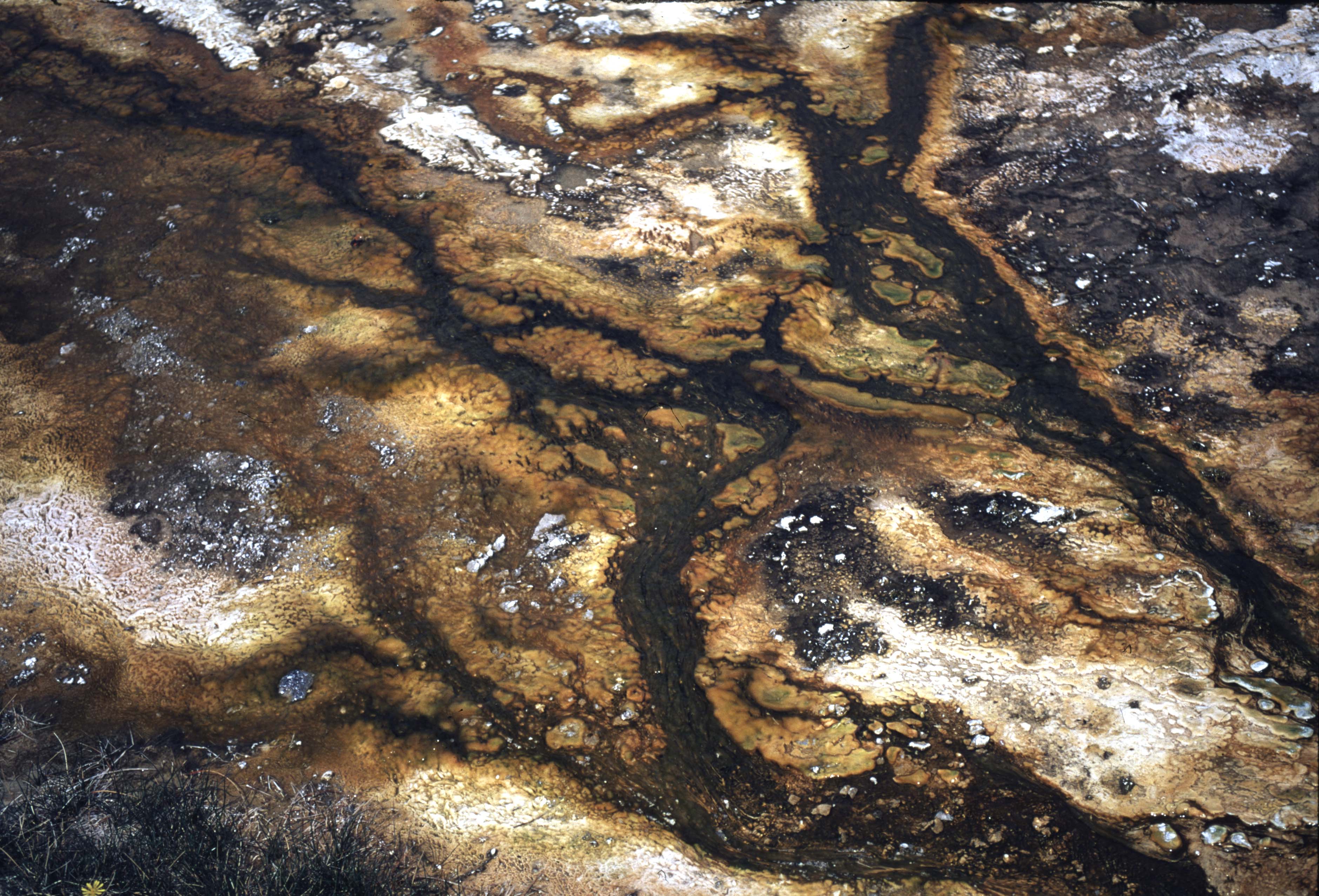 000614 I28 Upper Basin