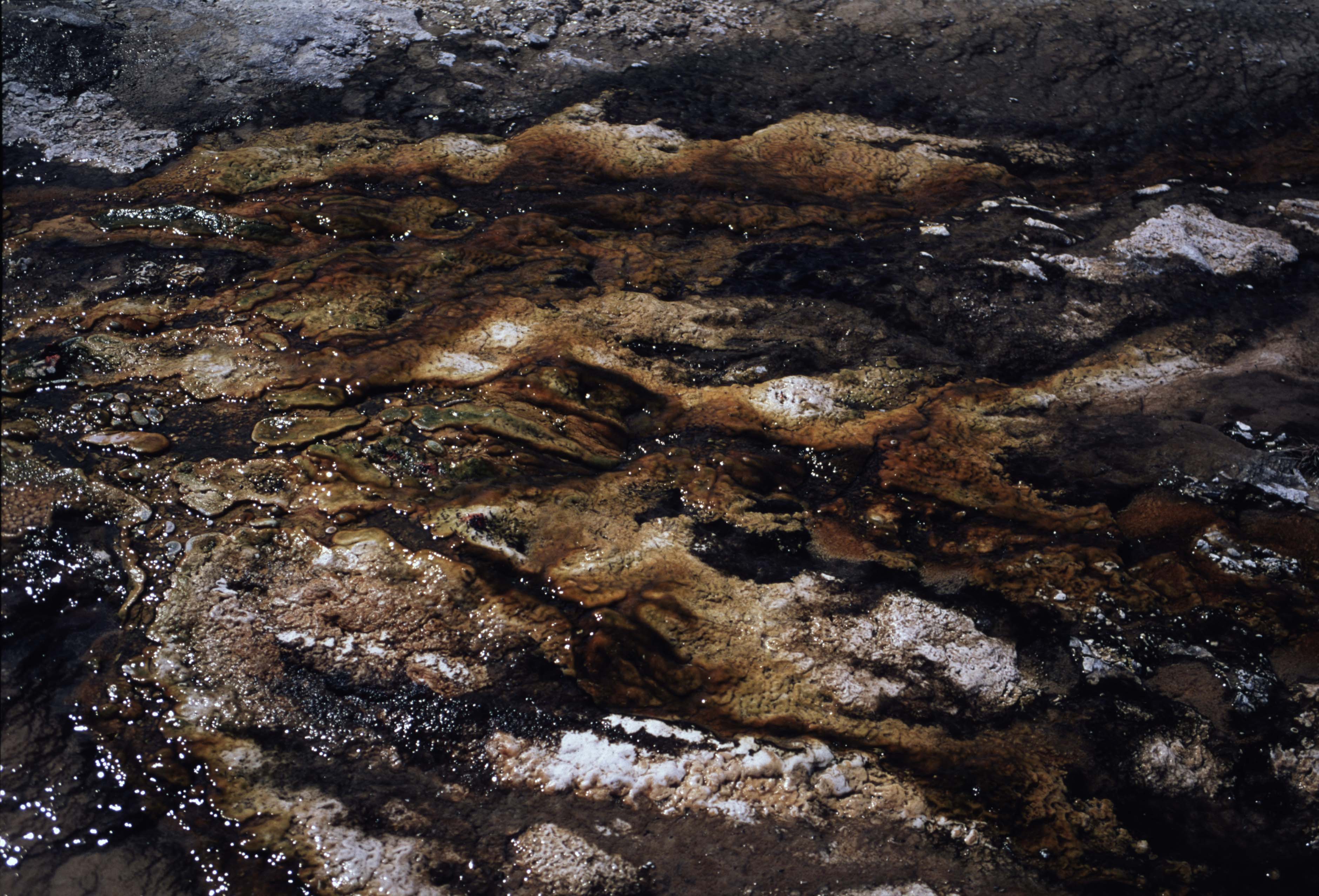 000614 I290 Upper Basin