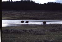 000613 H05 Bison Crossing River