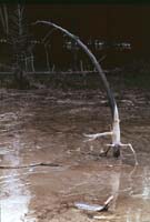 000616 K26 Midway Geyser Basin