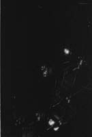 000616 N02 Old Faithful Inn