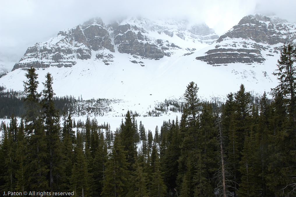    Icefield Parkway, Banff National Park, Alberta Canada