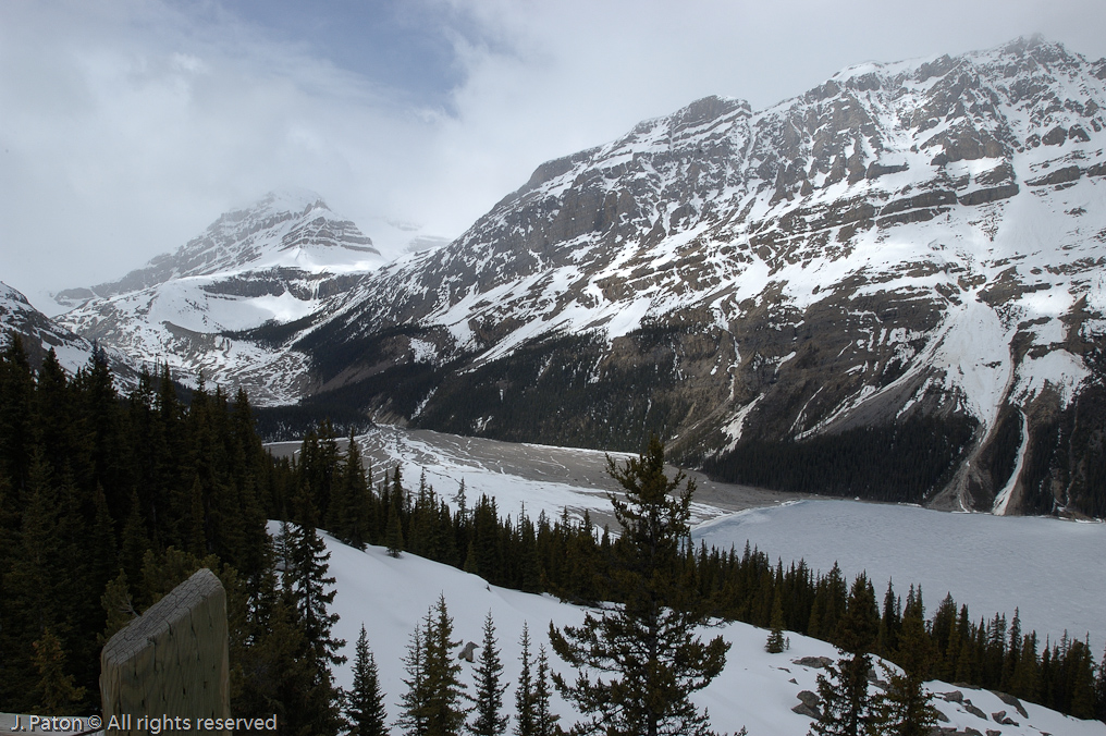    Icefield Parkway, Banff National Park, Alberta Canada