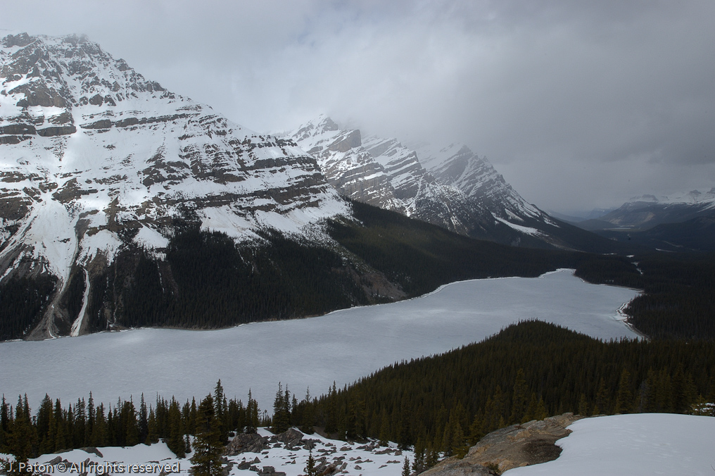 Snowy Peyto Lake   Icefield Parkway, Banff National Park, Alberta Canada