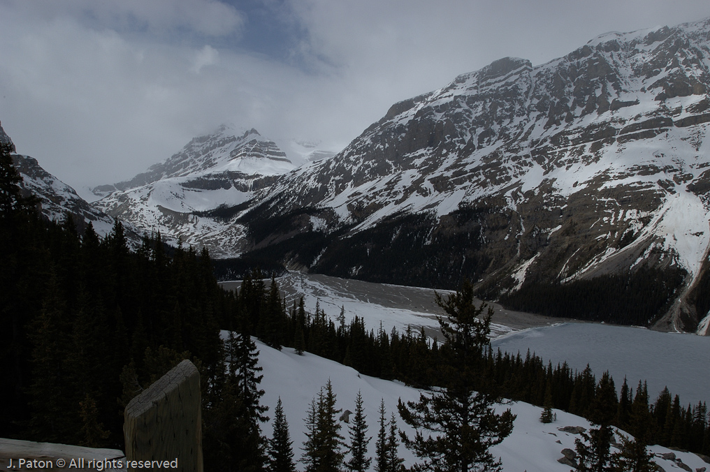    Icefield Parkway, Banff National Park, Alberta Canada