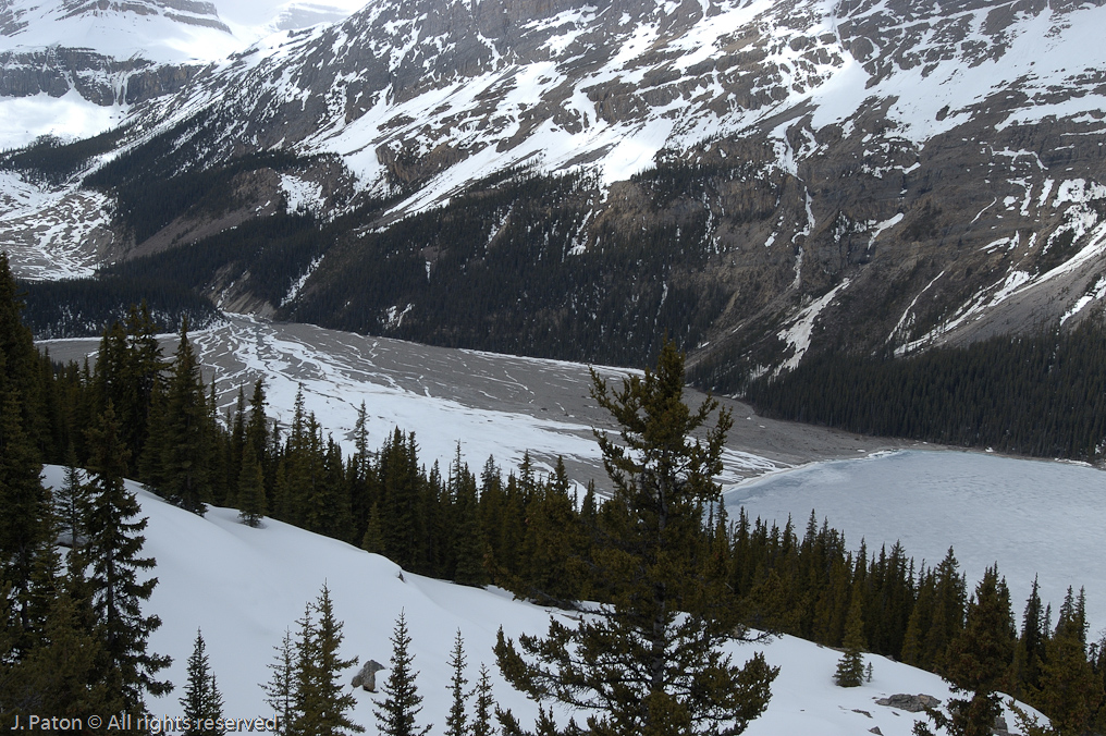    Icefield Parkway, Banff National Park, Alberta Canada