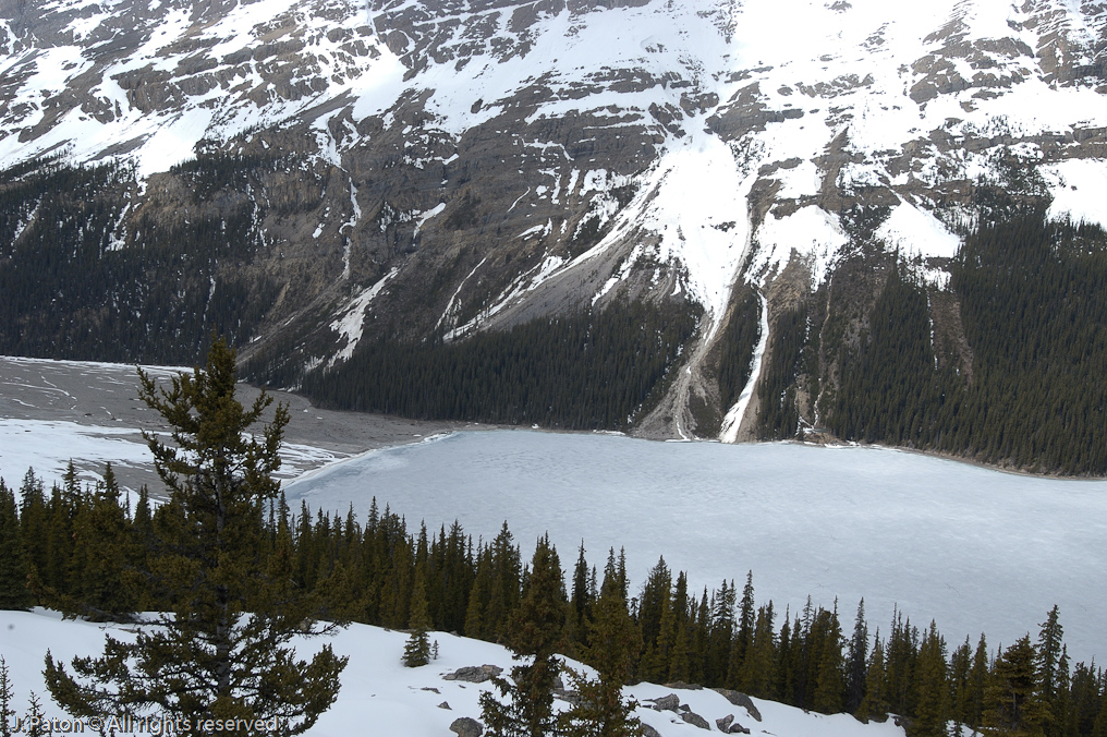    Icefield Parkway, Banff National Park, Alberta Canada