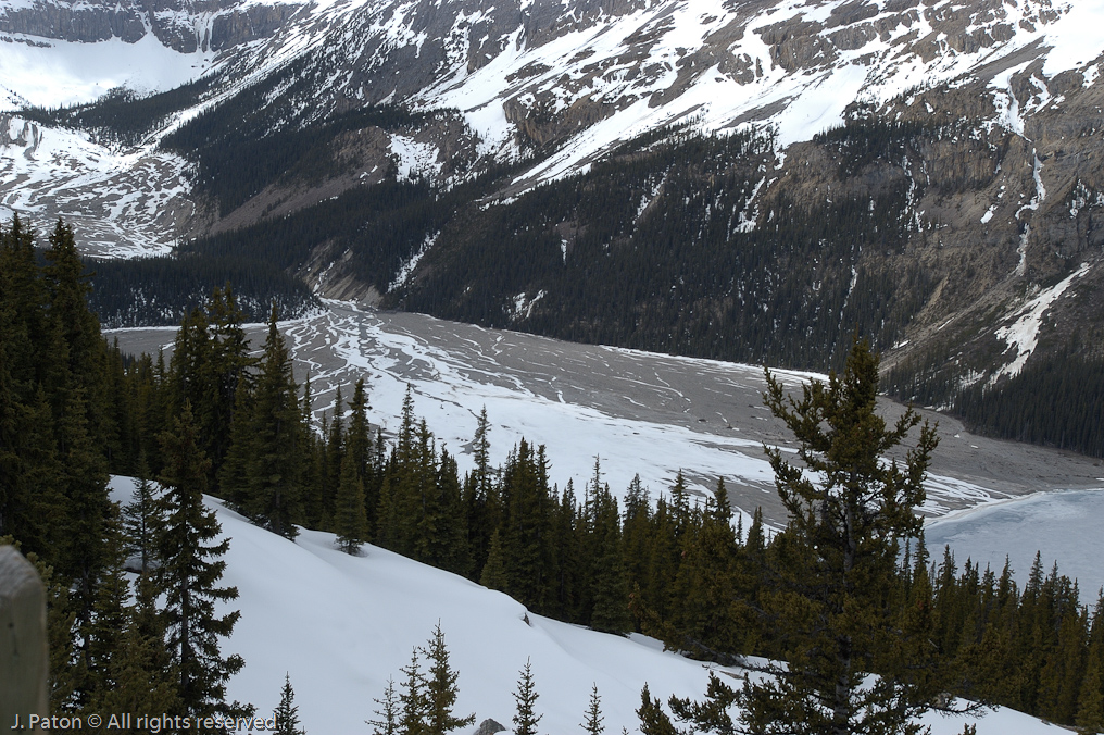    Icefield Parkway, Banff National Park, Alberta Canada