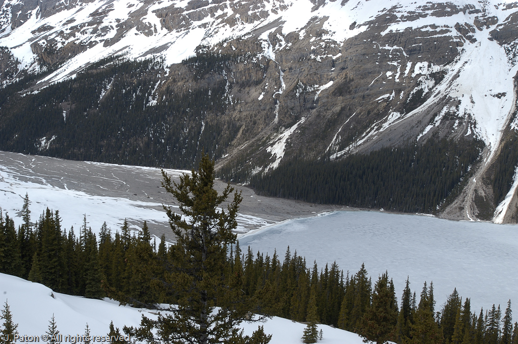    Icefield Parkway, Banff National Park, Alberta Canada