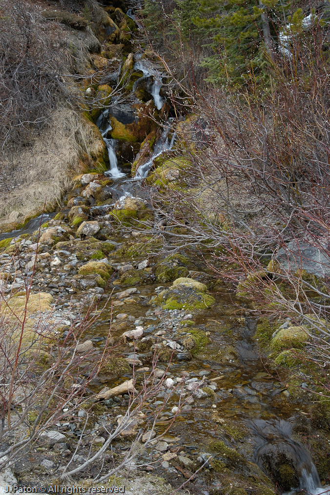    Icefield Parkway, Banff National Park, Alberta Canada
