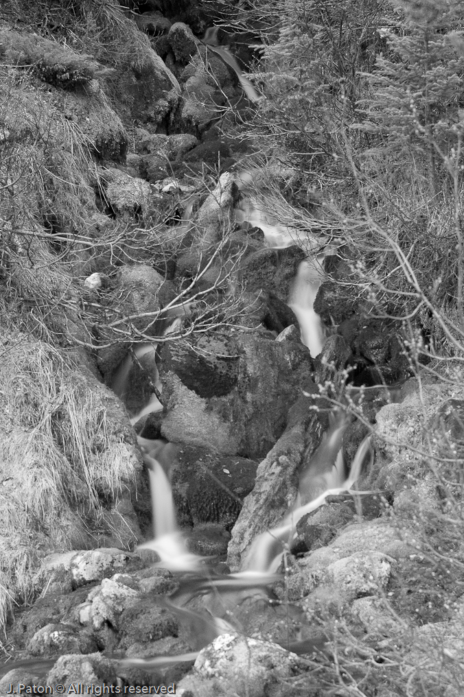    Icefield Parkway, Banff National Park, Alberta Canada