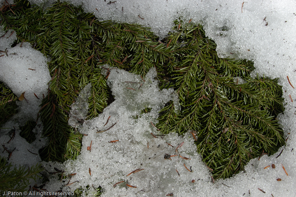    Lake Louise, Banff National Park, Albert, Canada