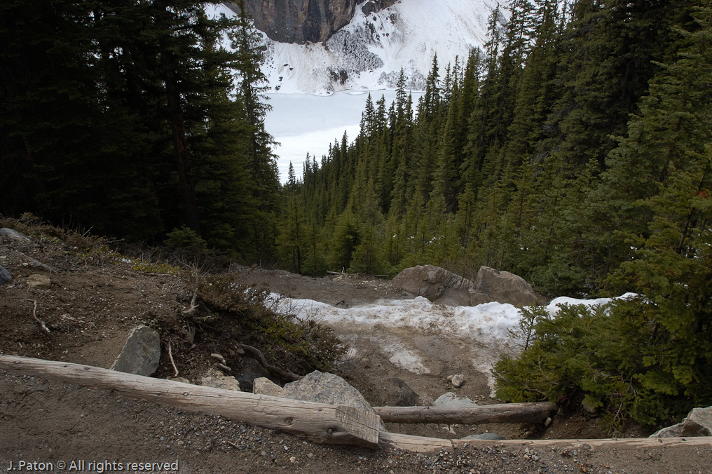 Looking Down from the Trail   Lake Louise, Banff National Park, Albert, Canada