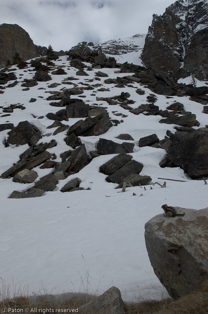    Moraine Lake, Banff National Park, Albert, Canada