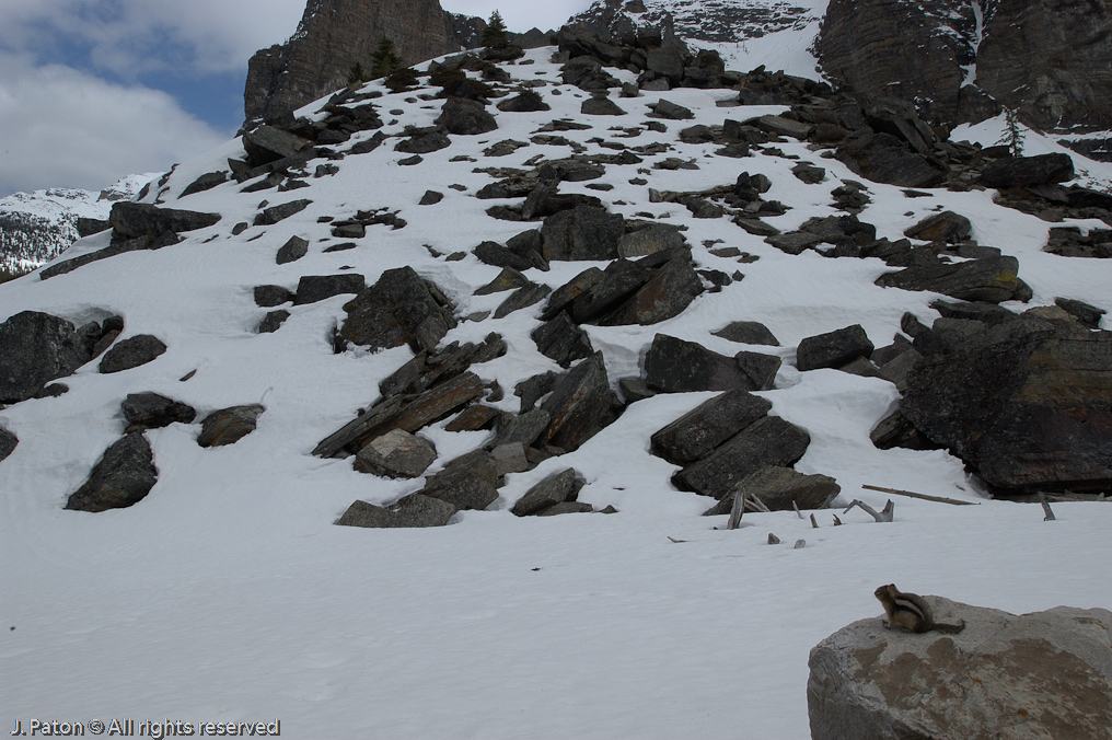Watching the Rockpile at Moraine Lake   Moraine Lake, Banff National Park, Albert, Canada