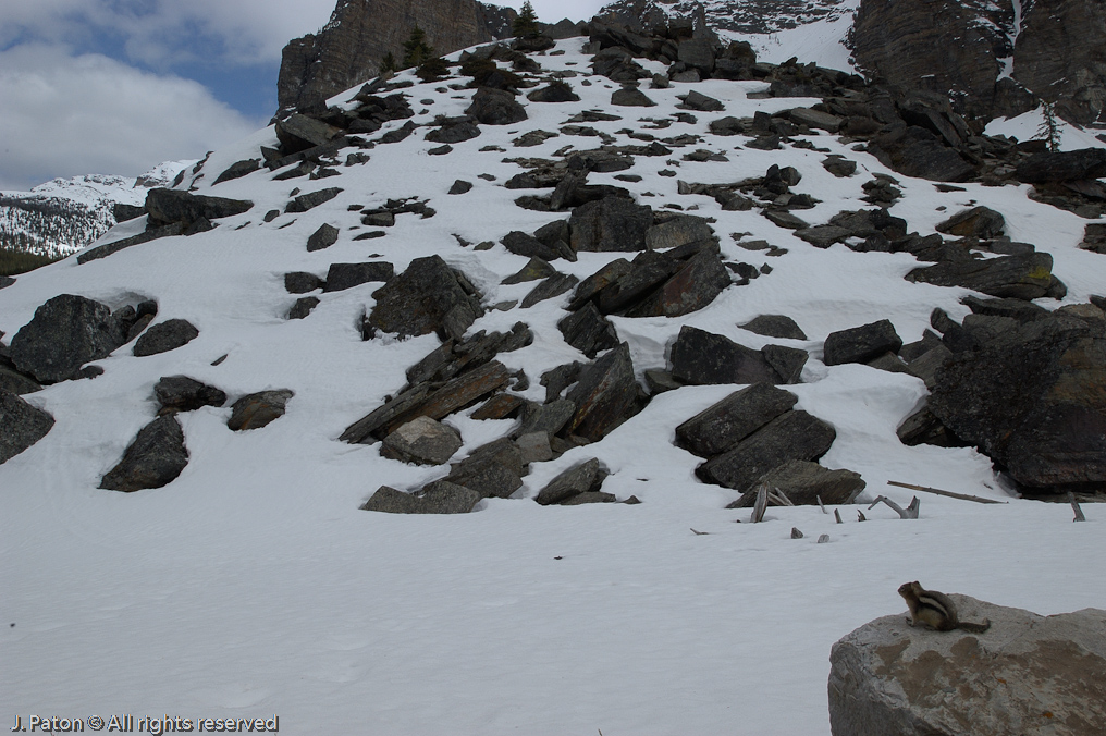    Moraine Lake, Banff National Park, Albert, Canada