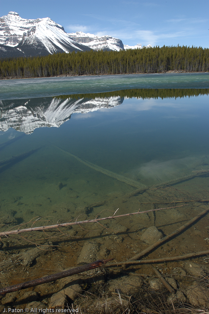    Icefield Parkway, Banff National Park, Alberta Canada