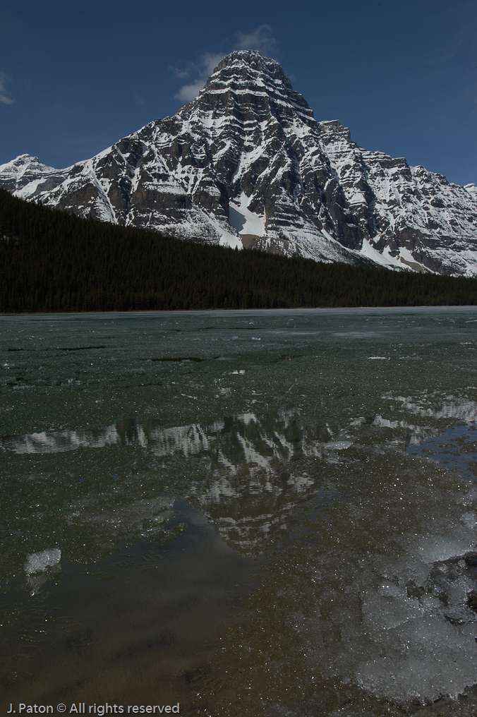    Icefield Parkway, Banff National Park, Alberta Canada