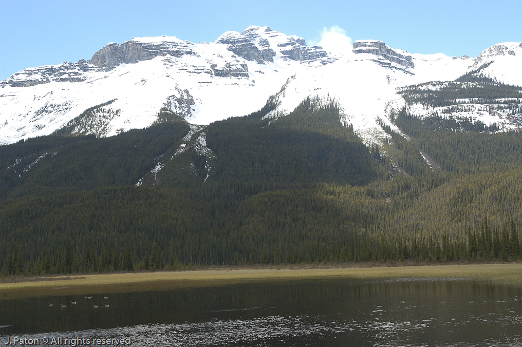    Icefield Parkway, Banff National Park, Alberta Canada