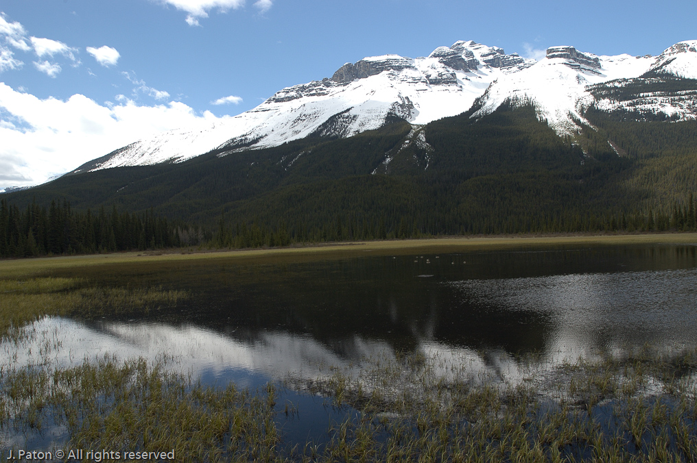    Icefield Parkway, Banff National Park, Alberta Canada