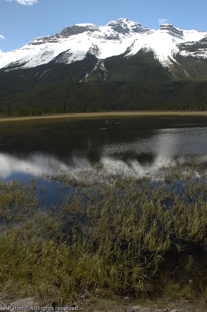    Icefield Parkway, Banff National Park, Alberta Canada