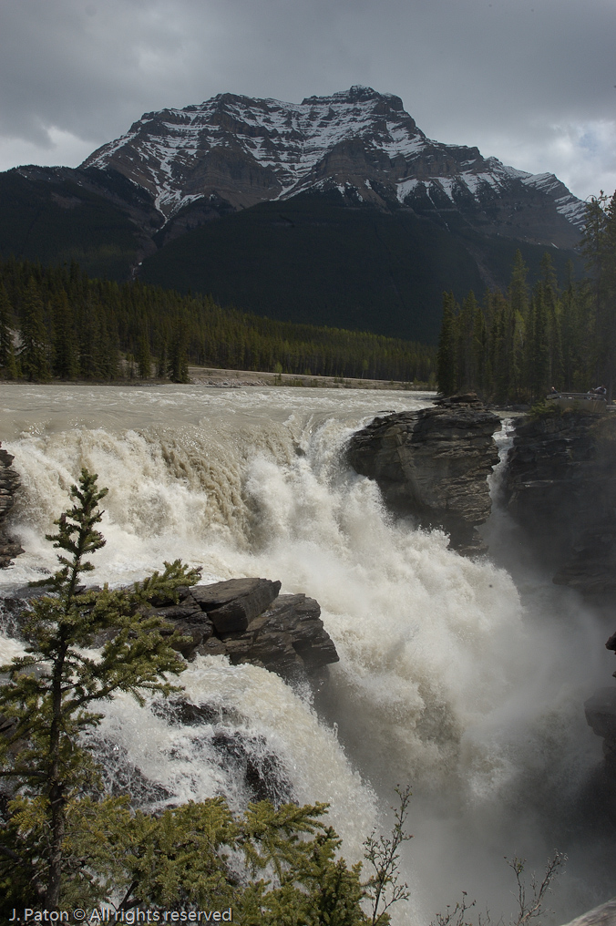    Icefield Parkway, Jasper National Park, Alberta, Canada