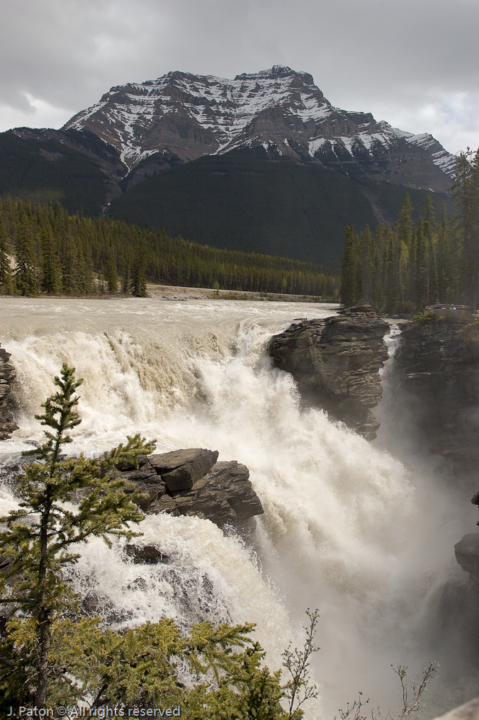 Athabasca Falls   Icefield Parkway, Jasper National Park, Alberta, Canada