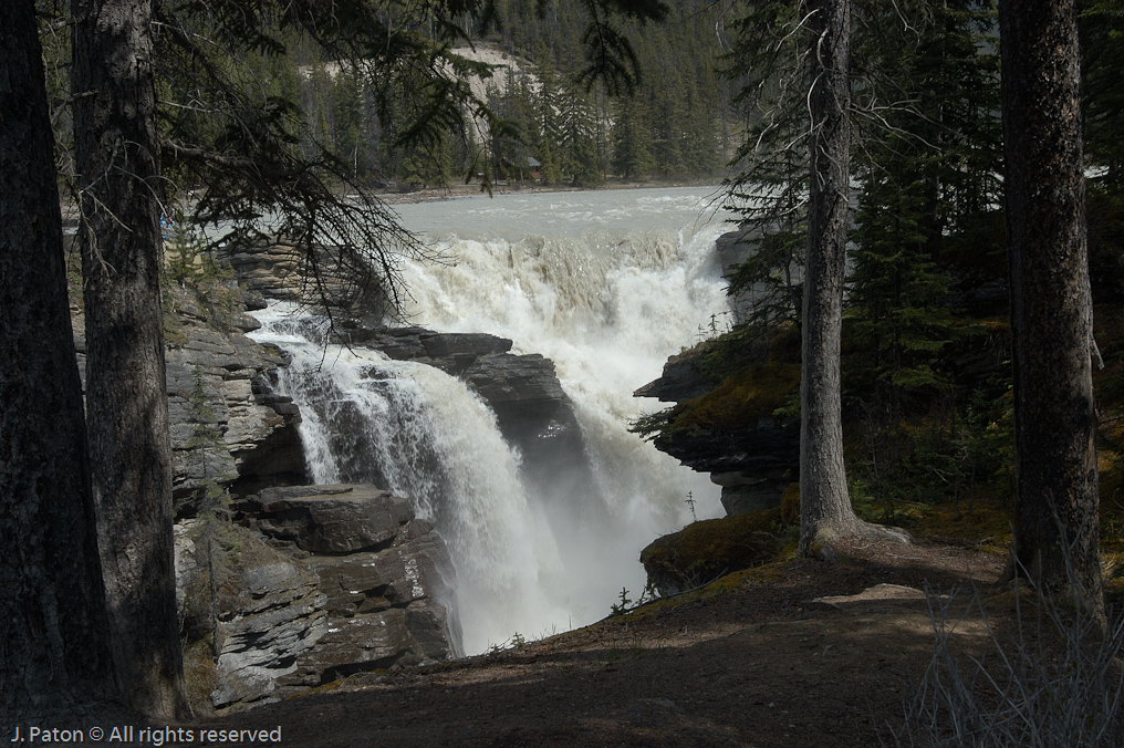    Icefield Parkway, Jasper National Park, Alberta, Canada
