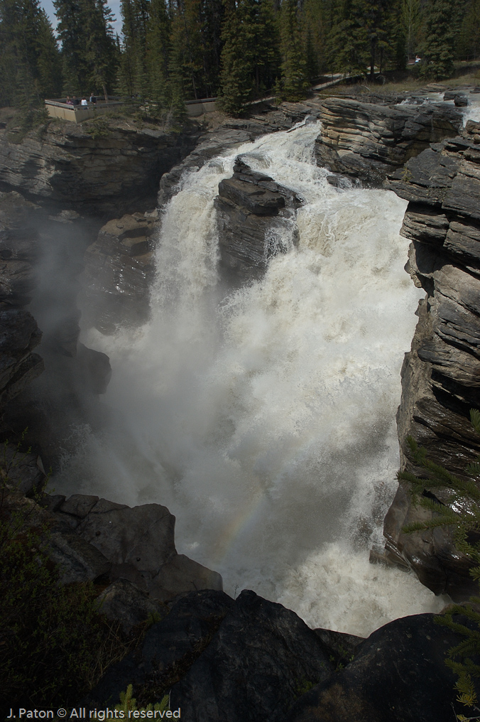    Icefield Parkway, Jasper National Park, Alberta, Canada