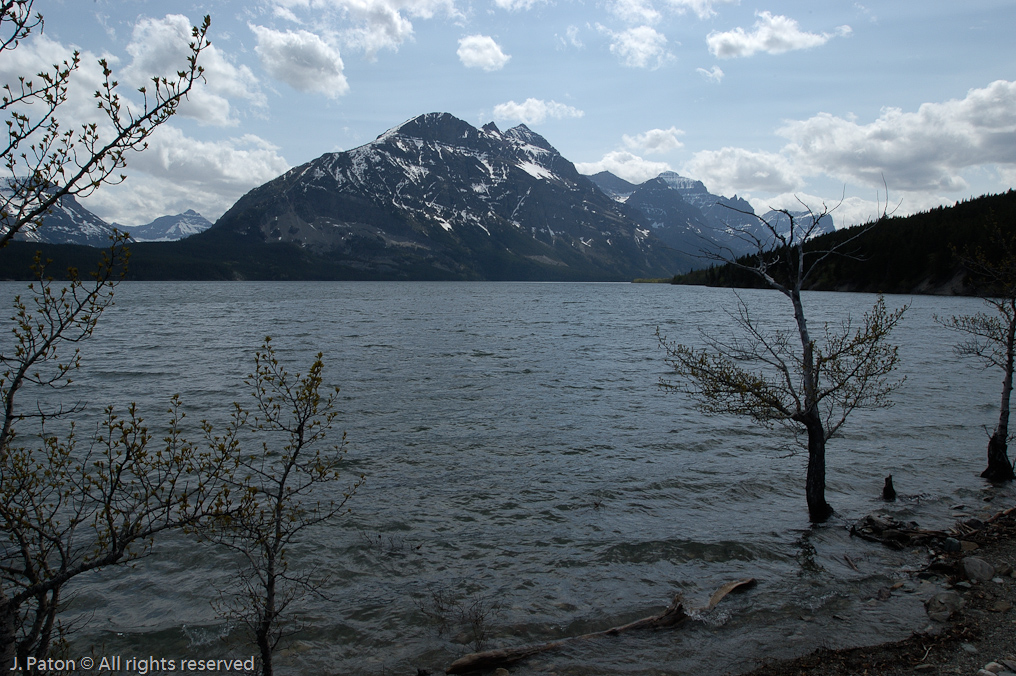    Glacier National Park, Montana