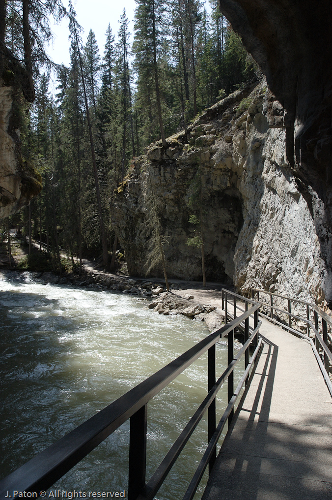 Tail in Johnston Canyon   Banff National Park, Alberta, Canada