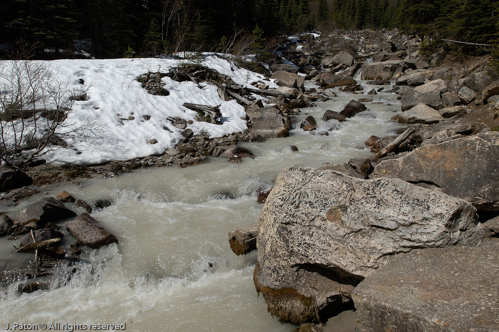 Near Trail Behind Lake Louise   Banff National Park, Alberta, Canada