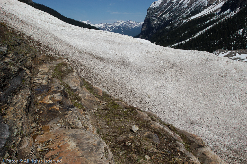 Snow Covered Trail   Lake Louise, Banff National Park, Alberta, Canada