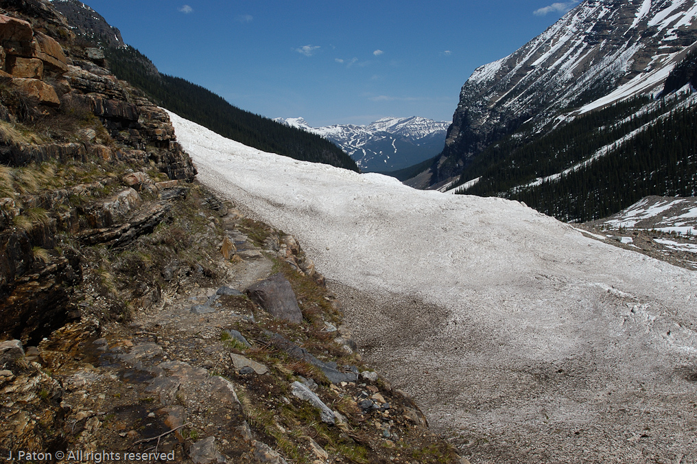 Snow Covered Trail   Lake Louise, Banff National Park, Alberta, Canada