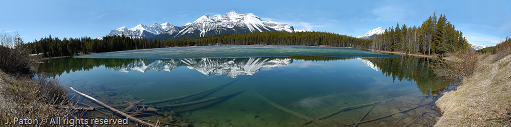 Herbert Lake, Banff National Park   Icefield Parkway, Banff National Park, Alberta Canada
