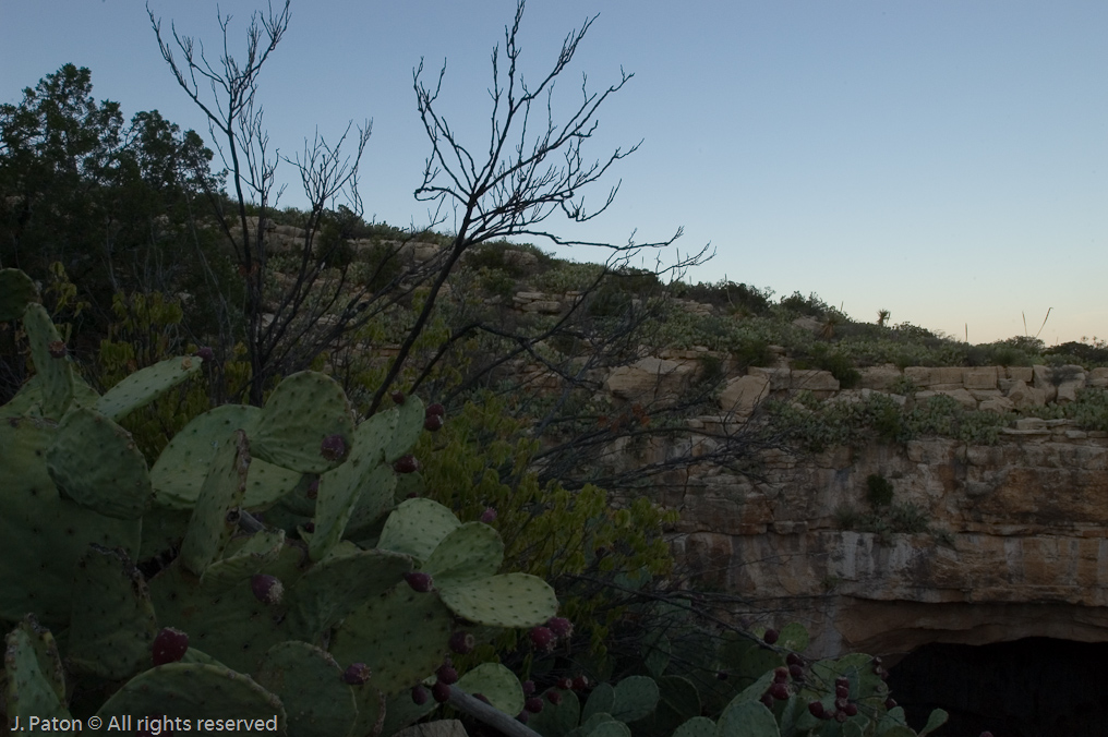 Waiting for the Bats   Carlsbad Caverns National Park, New Mexico